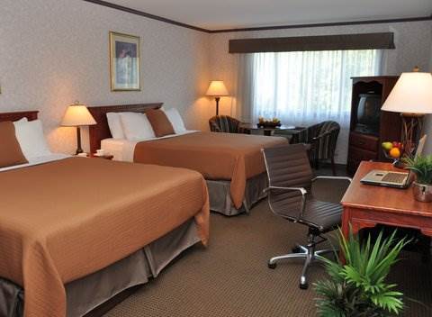 Western Mountainview Hotel Golden